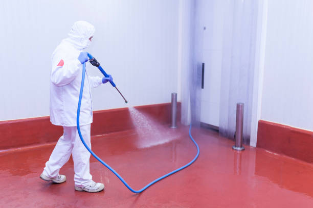 Best Boat and Dock Cleaning  in Woody, WA